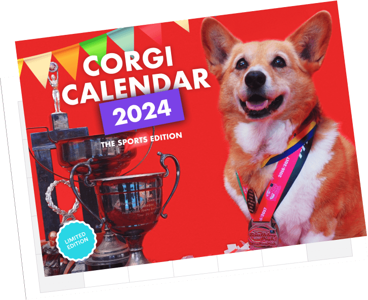 A photo of a Corgi-themed calendar for the 2024 calendar year